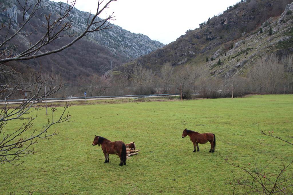Pensión Moto-rural 